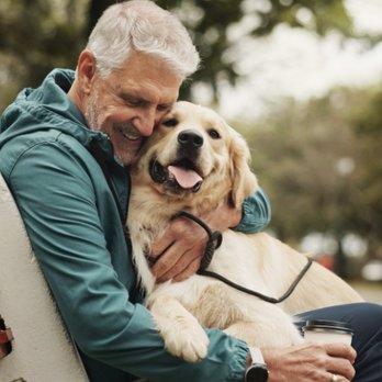 Pawsitive Healing Veterinary Hospital