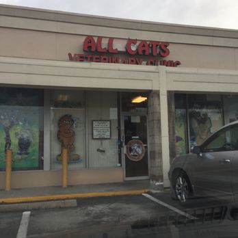 All Cats Veterinary Clinic