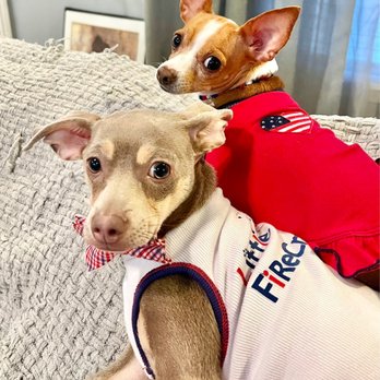 North Channel Animal Hospital