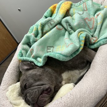 Washington Heights Veterinary Clinic