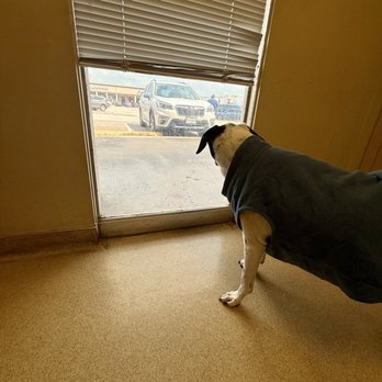 Forest West Animal Clinic