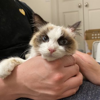 Forest West Animal Clinic