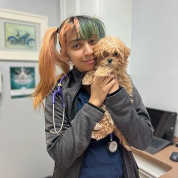 Rice Village Animal Hospital