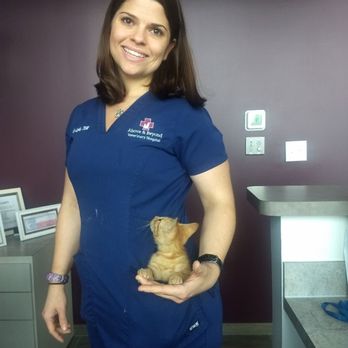 Above & Beyond Veterinary Hospital