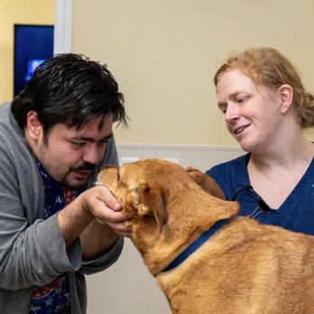 Oak Forest Veterinary Hospital