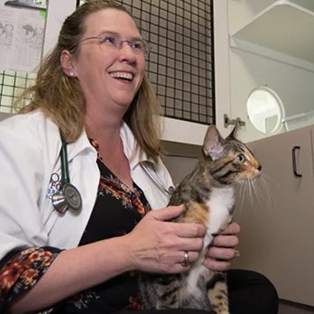 Oak Forest Veterinary Hospital