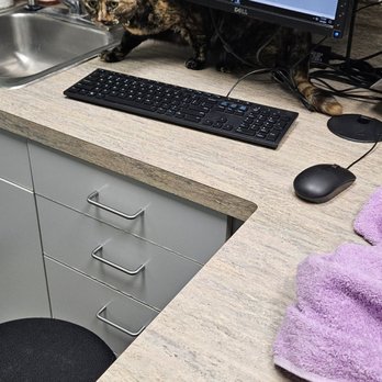 Silverlake Animal Hospital