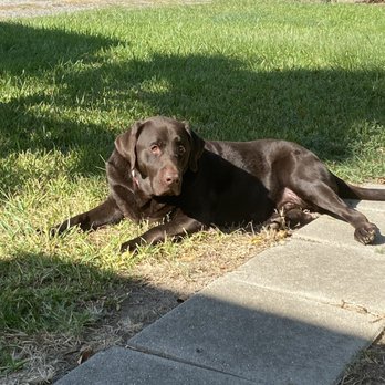 Silverlake Animal Hospital