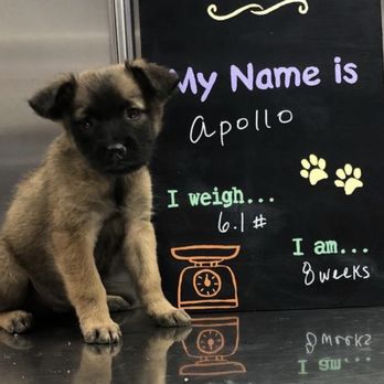 Southside Place Animal Hospital