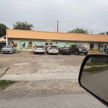 Creature Comfort Animal Hospital