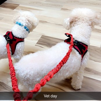 Woodlake Pet Hospital