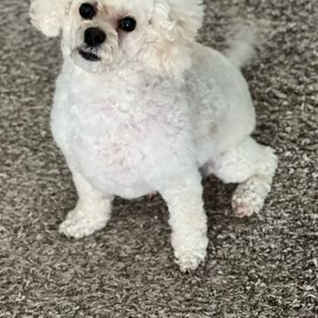 Woodlake Pet Hospital