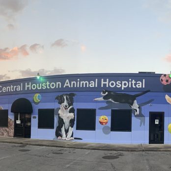 Central Houston Animal Hospital