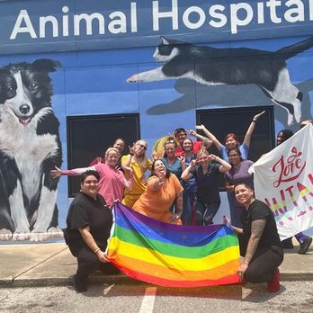 Central Houston Animal Hospital