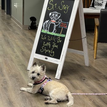 Sugar Land Veterinary Specialists & Emergency Care