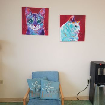 Houston Cat Hospital