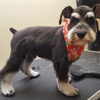 Grand Parkway Animal Hospital