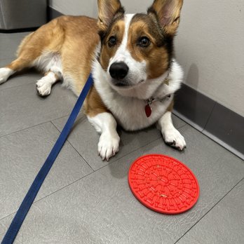 Fur & Feather Veterinary Hospital