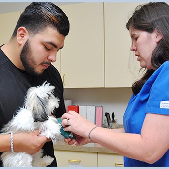 Oyster Creek Animal Hospital