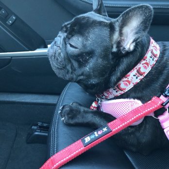 Bear Creek Animal Clinic