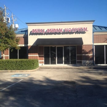 Angel Animal Hospital