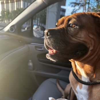 North Durham Animal Hospital