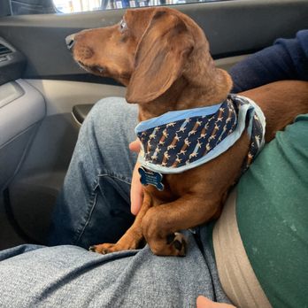 North Durham Animal Hospital