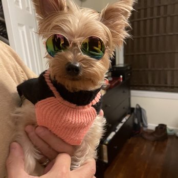 Long Drive Dog & Cat Hospital