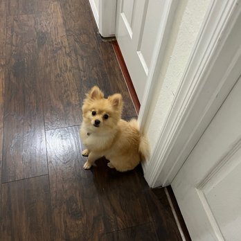 Aldine Mail Route Animal Hospital