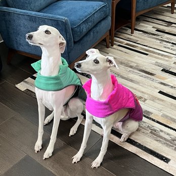 Lake Olympia Animal Hospital