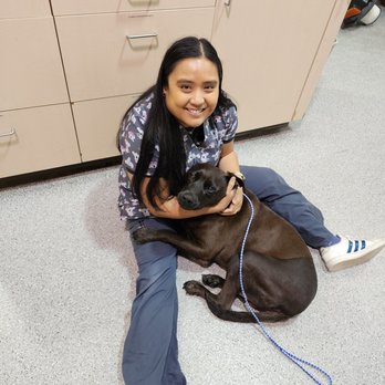 MedVet Houston Bay Area