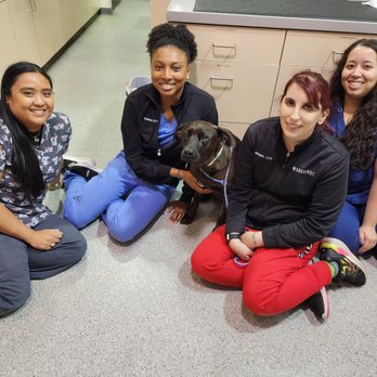 MedVet Houston Bay Area