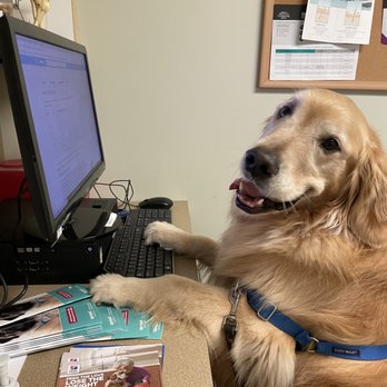 Heights Hospital for Animals