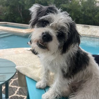 The WellPet Center Veterinary Hospital