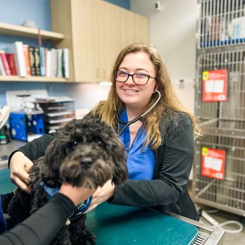 Thrive Pet Healthcare - Eldridge