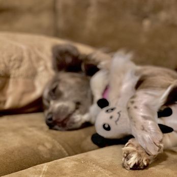 Circle B Veterinary Hospital