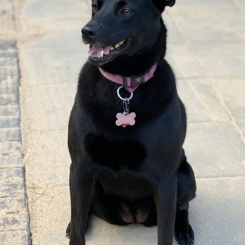 Circle B Veterinary Hospital