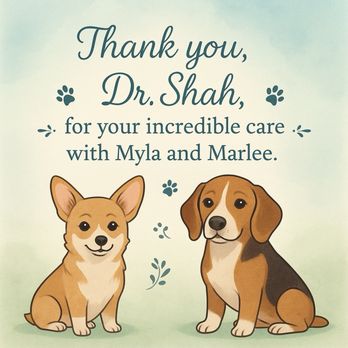 Circle B Veterinary Hospital