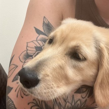 Mayde Creek Animal Health Center