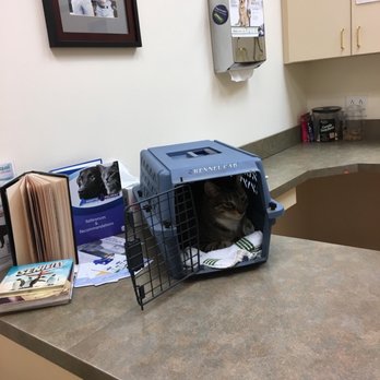 Mayde Creek Animal Health Center