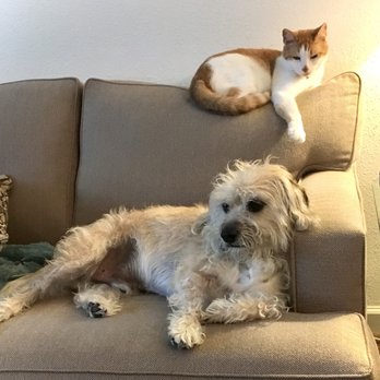 Critter Care Animal Hospital