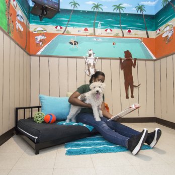 Rover Oaks Pet Resort, Houston