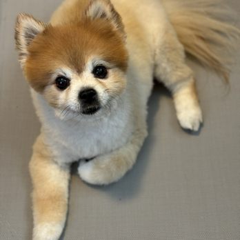 Baxter & Cleo Veterinary Clinic