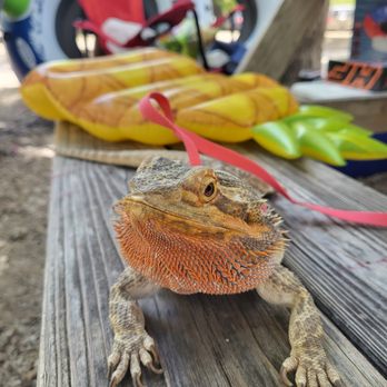 ABC Animal & Bird Clinic