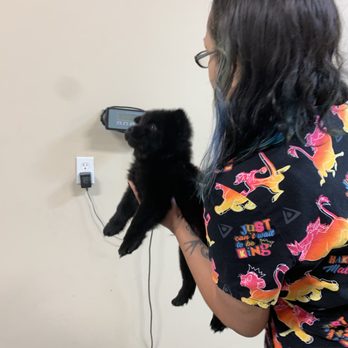Pet Check Animal Clinics