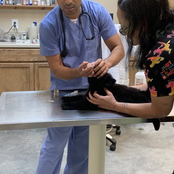 Pet Check Animal Clinics