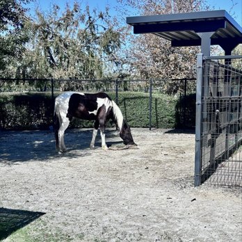 Wildlife Center of Texas