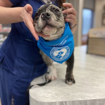 West Houston Veterinary Medical Associates