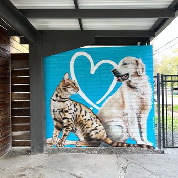 Memorial Villages Animal Hospital