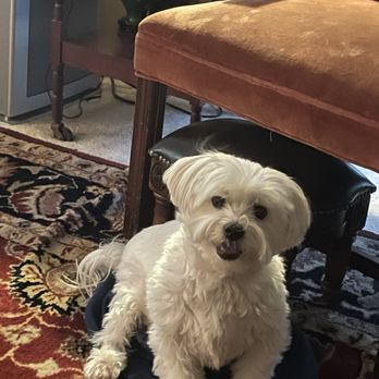 Parkside Animal Hospital